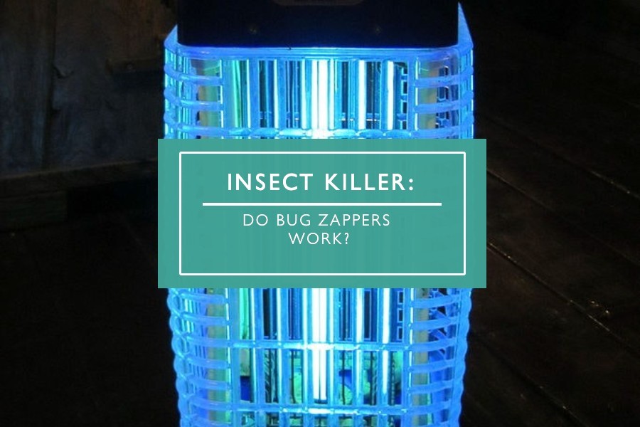 Do Bug Zappers Work?