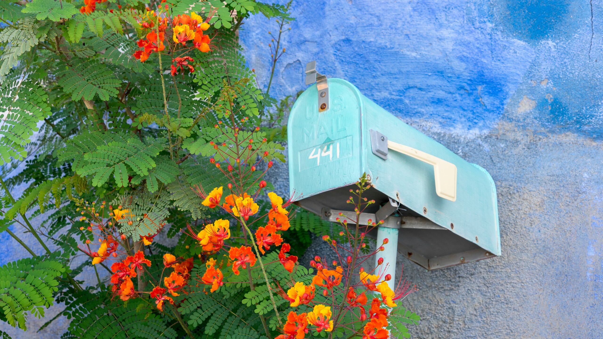 Mailbox with flowers