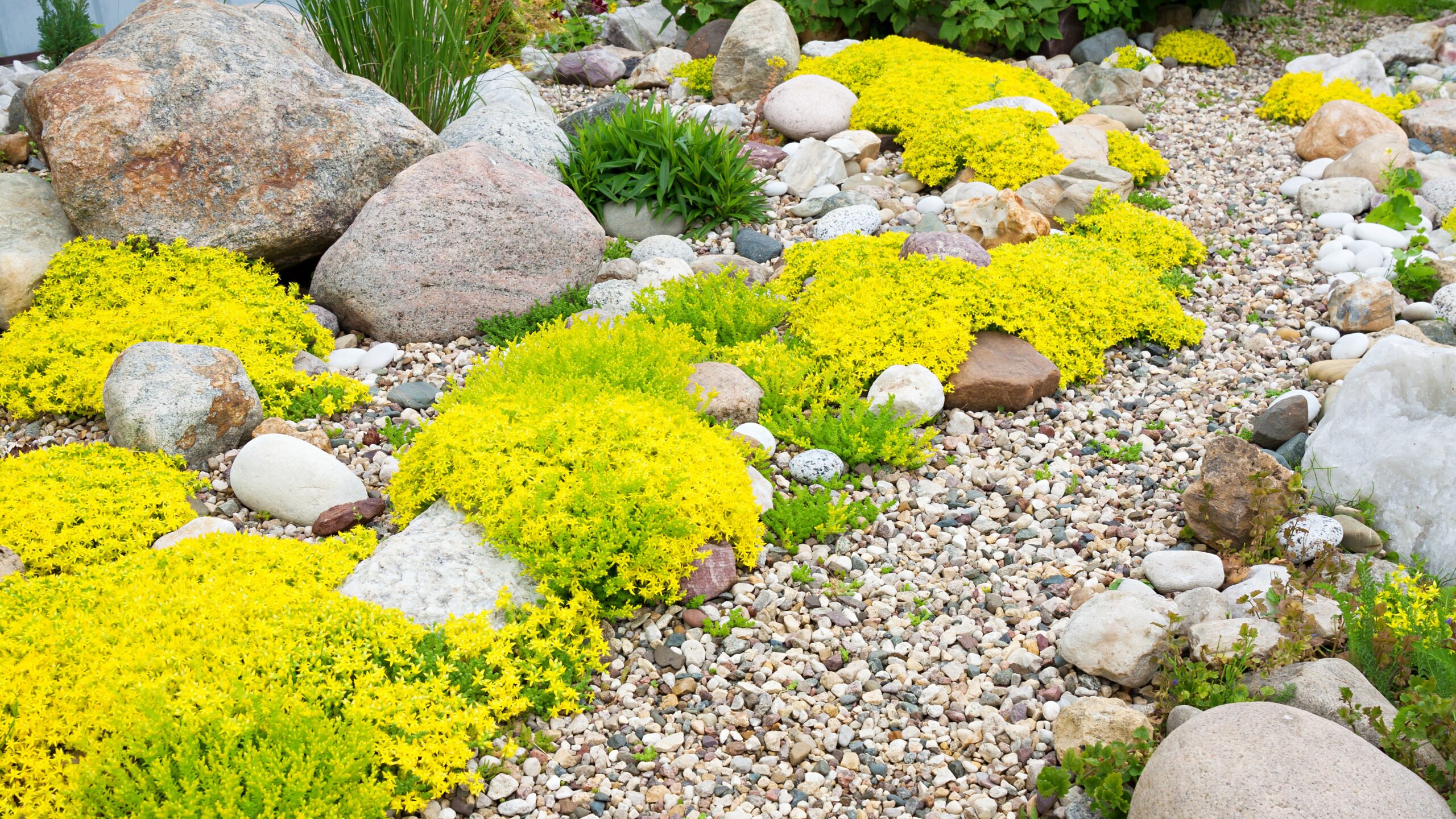 Rock garden for texture on yard