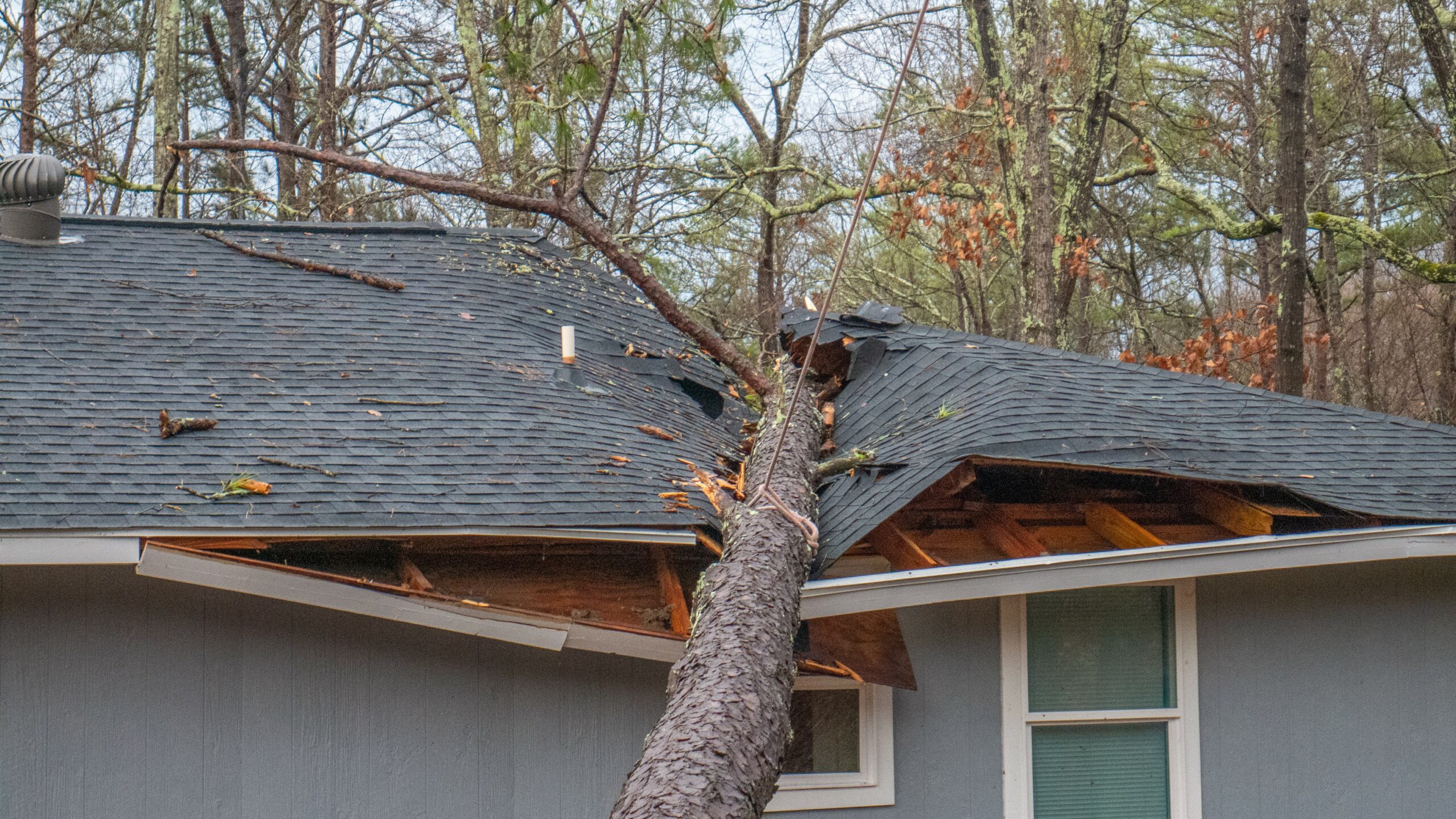 tree fallen on roof causing major damage.