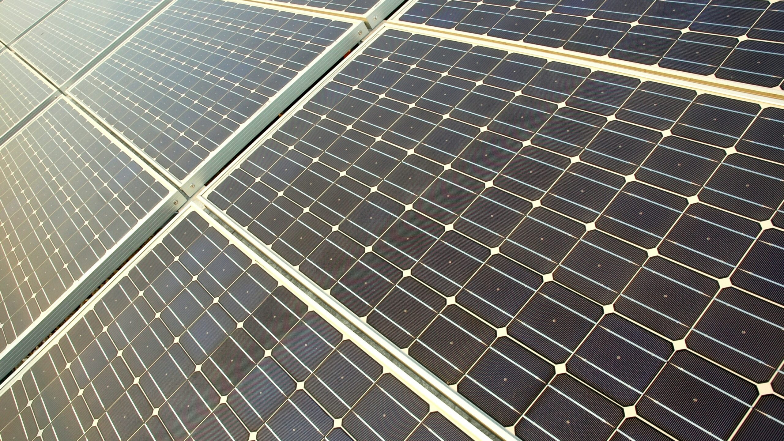 Monocrystalline solar panels installed on roof
