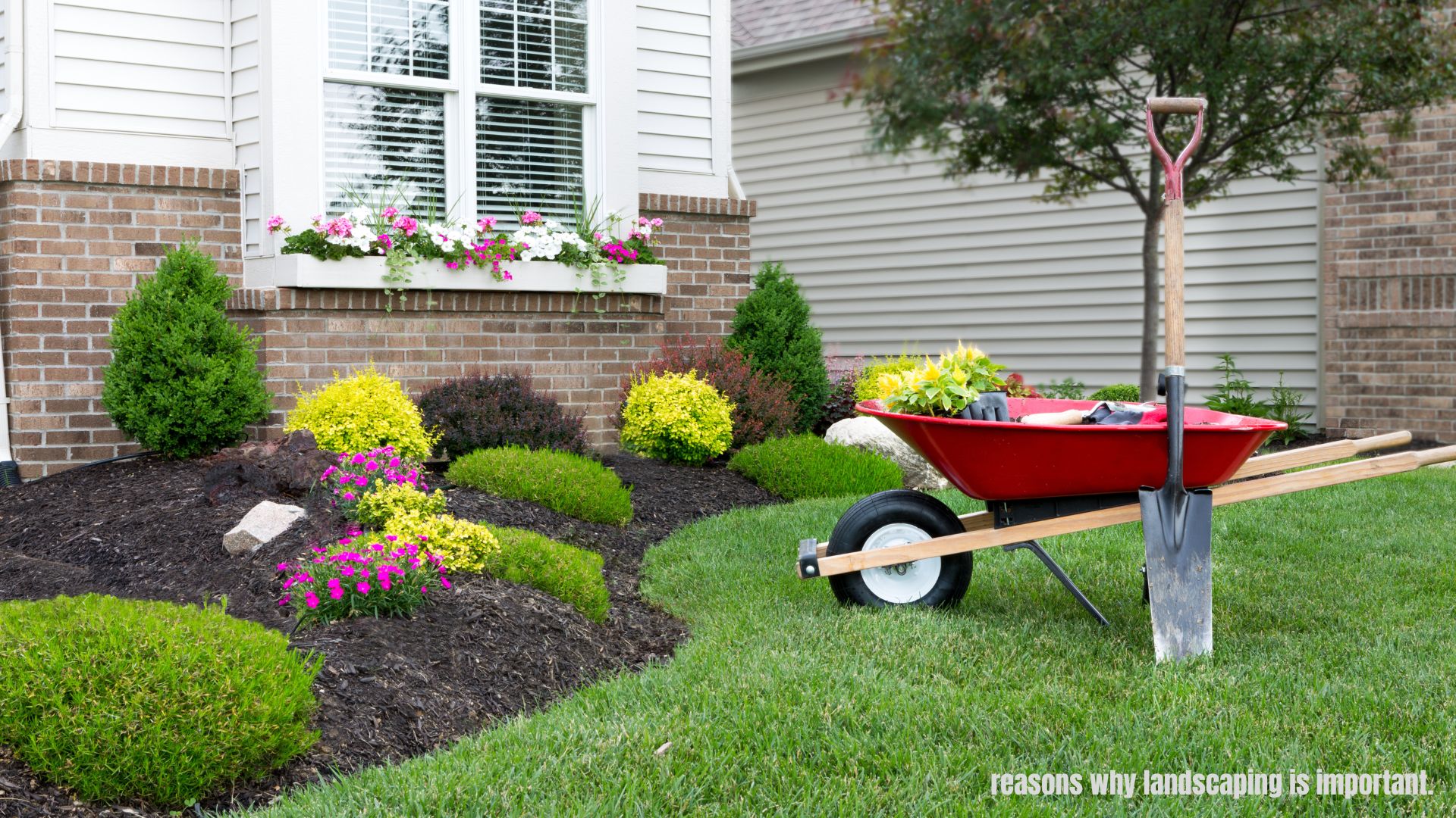Enhancing curb appeal through landscaping